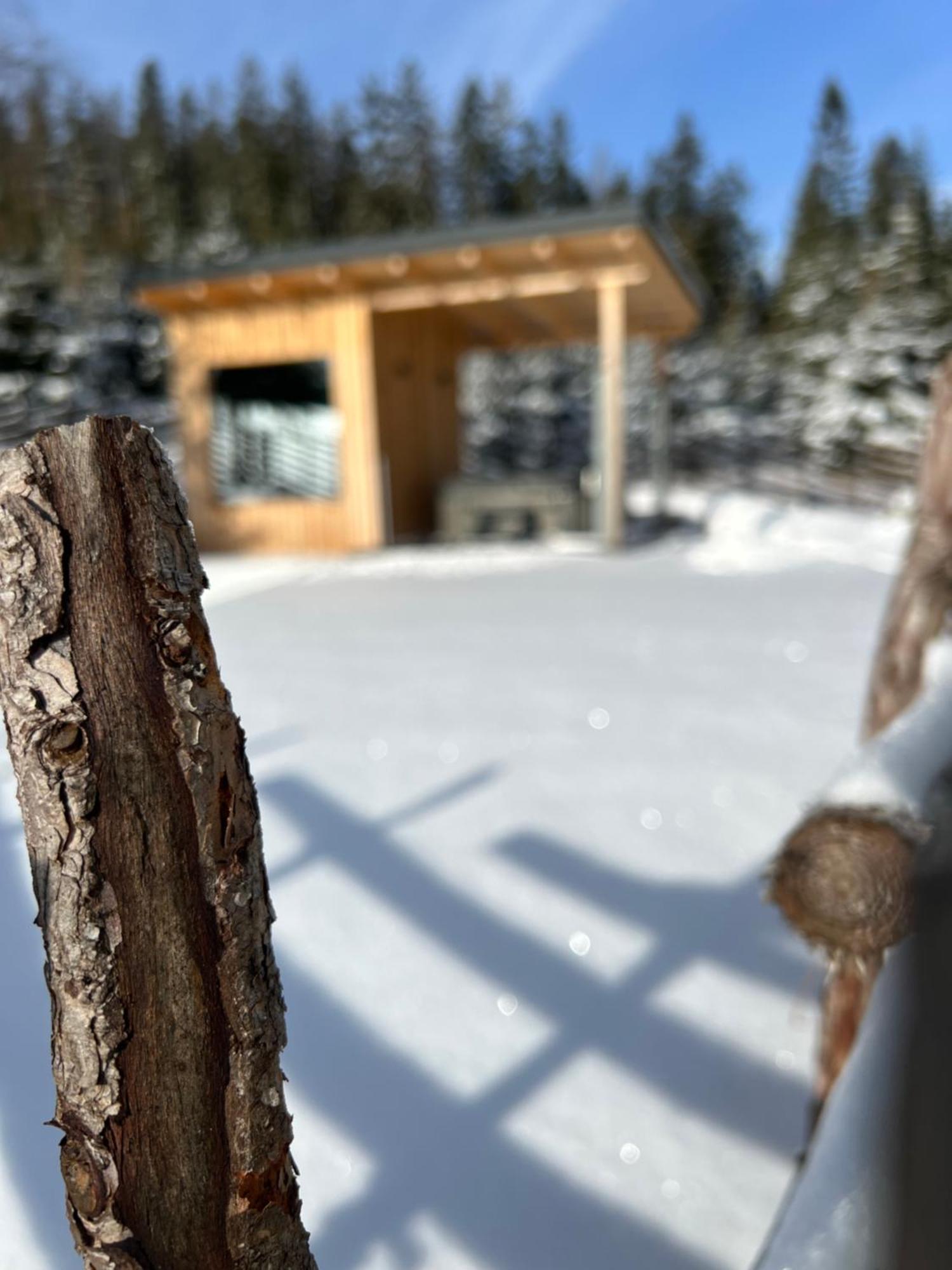 Waldheimatblick Villa Sankt Kathrein am Hauenstein Bagian luar foto