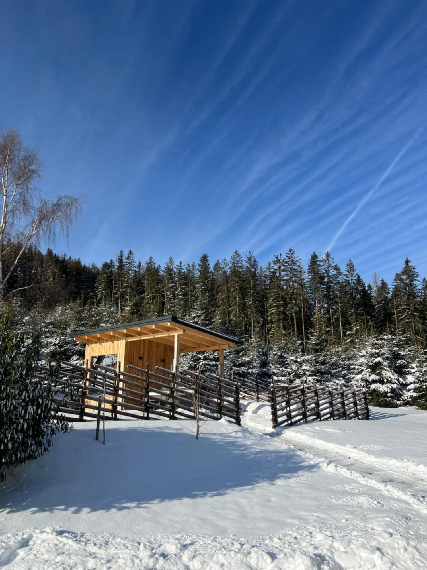 Waldheimatblick Villa Sankt Kathrein am Hauenstein Bagian luar foto